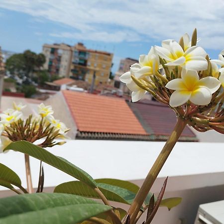 Apartamento Plumaria مالقة المظهر الخارجي الصورة